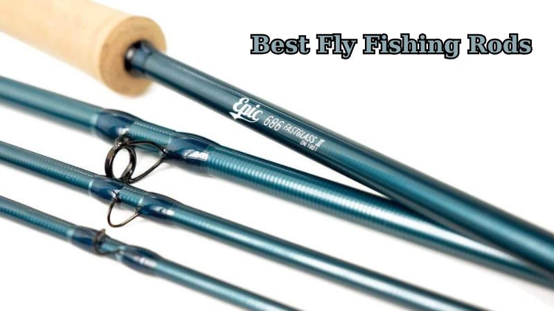 Best Fly Fishing Rods